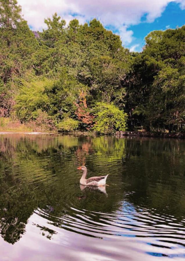 Pousada O Cantinho Da Raposa Monte Verde  Esterno foto
